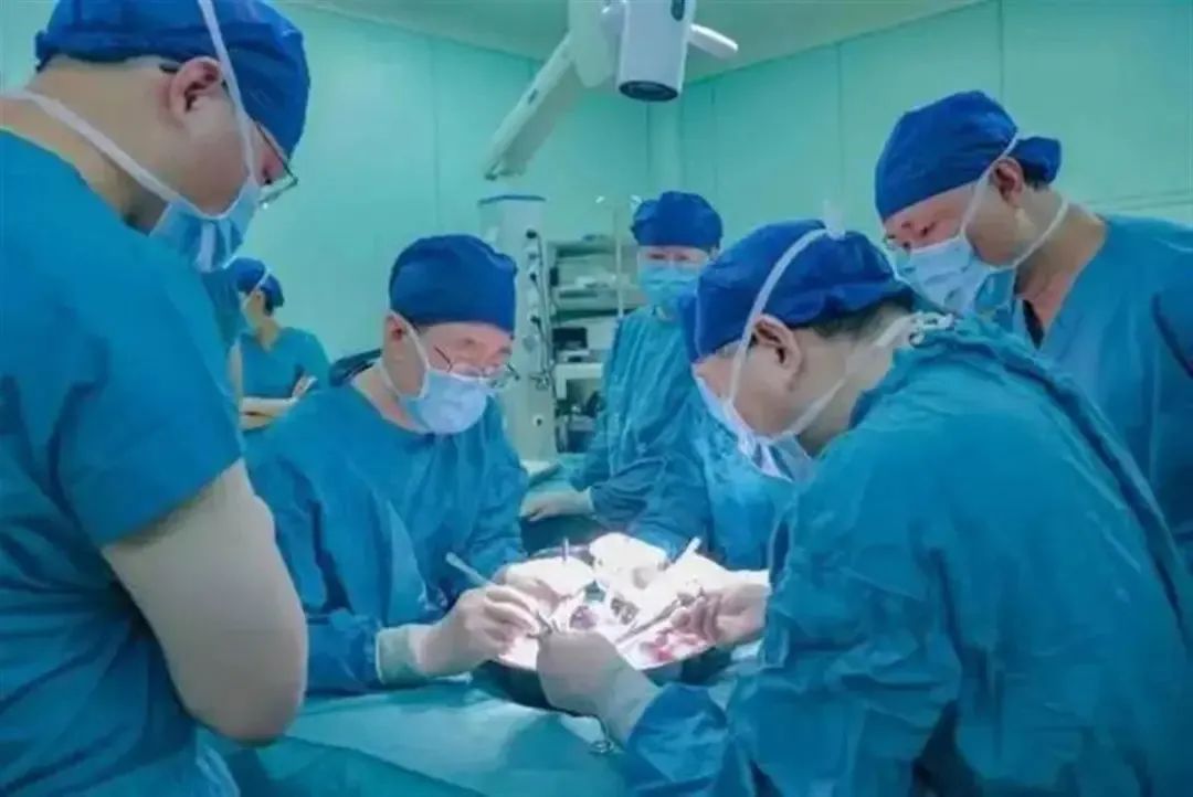 中国医生成功将猪肝移植给活人