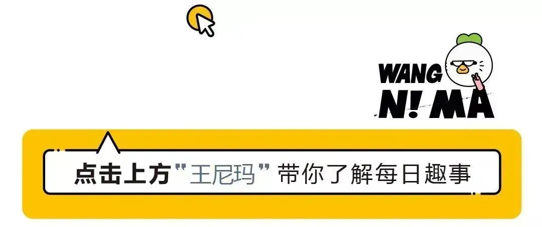 全网人监控一辆车，你们要不要这么离谱？！