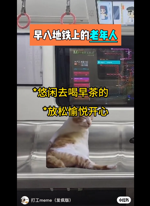 00后运营，靠猫meme统治世界 | 营销专栏