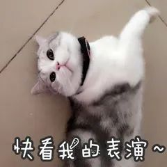 这台卖3999元的笔记本电脑，真的有点猛