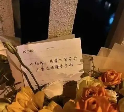 胖猫谭竹事件真相大白：网络狂欢的背后，是人性原罪