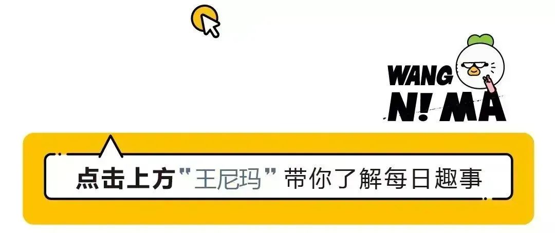 “以马为梦、老批指正”，还有什么是大学生干不出来的？